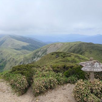 三嶺山頂に到着💦
ここでサプライズ、頼富校長が山頂まで来て、私たちを迎えてくれました❣️
頼富校長、リーダーの山内先生とハイタッチ🫲

２日目のベストショットです。
このあとすぐにガスガスになりました💧