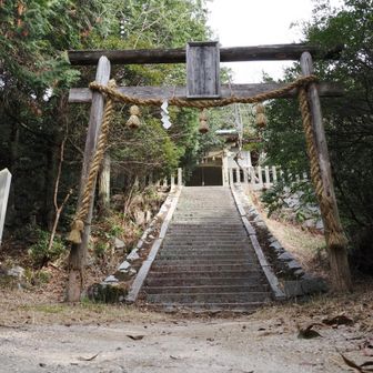 勝手に期待して上宮へ。
巨石？巨木？がある凄いところだろうなぁと登って行ったら、人工林に囲まれていた。
ちょっとかわいそう、、、、