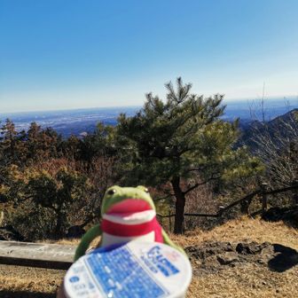 カップ麺だギャマ〜