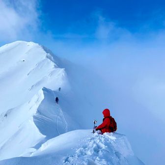 壹只流浪的小野貓