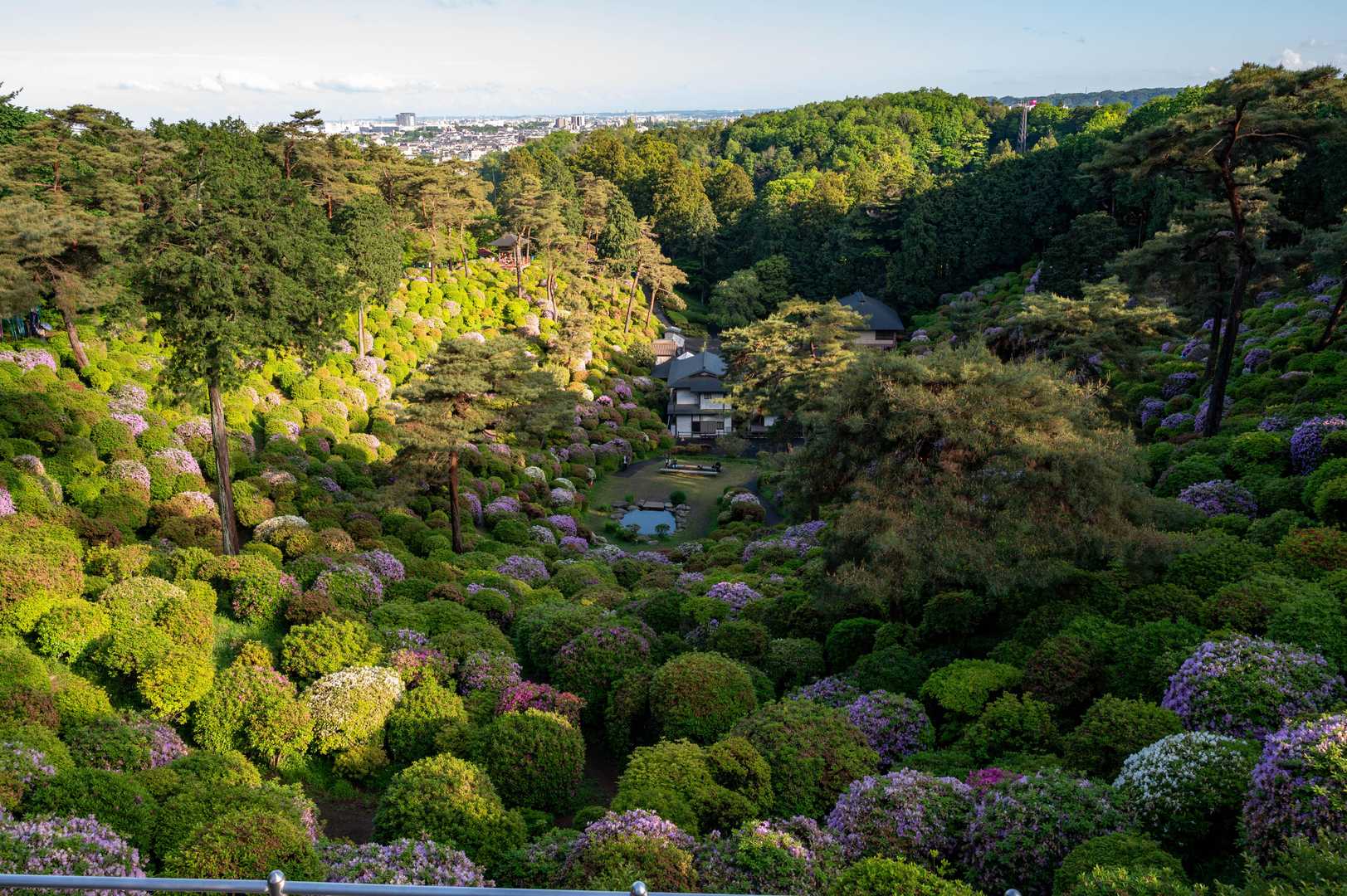 塩船観音寺-愛宕山 往復コースの写真