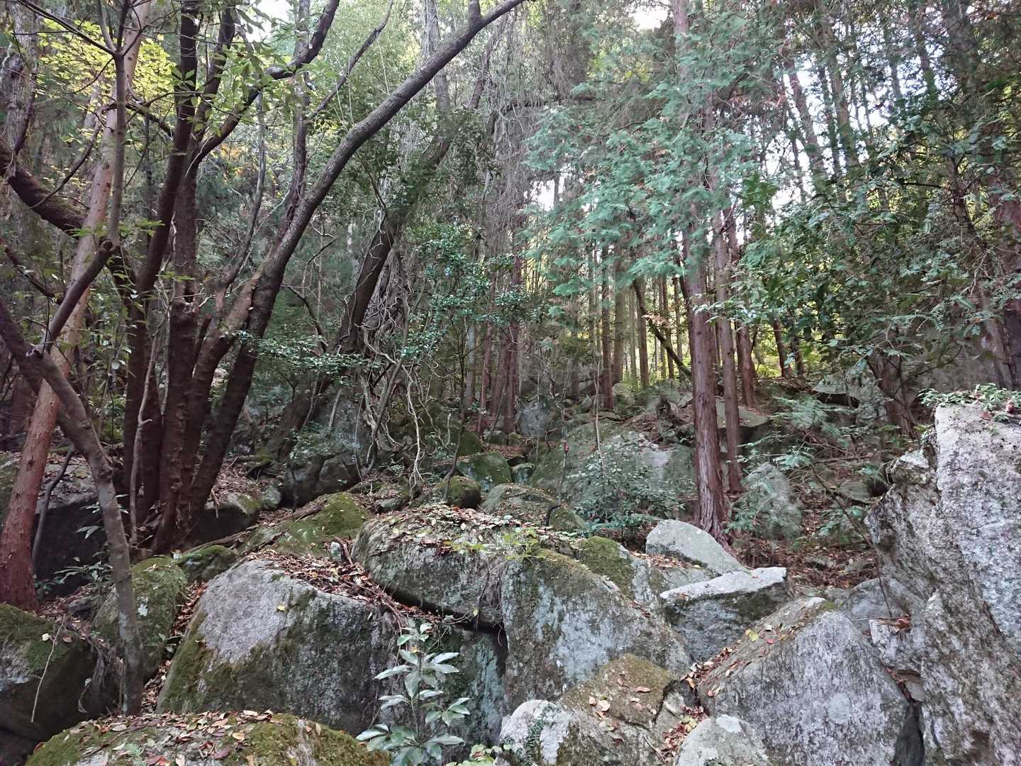 岩の波🌊
次回は矢多田登山口よりチャレンジします🚶