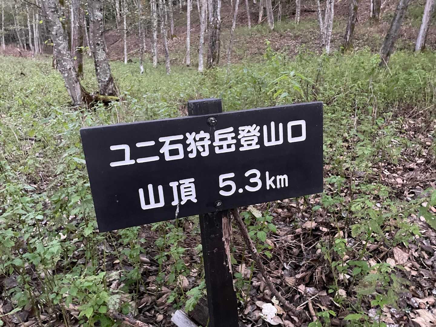 本日一番手で
スタートします🚶‍♂️‍➡️
