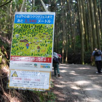 登山道はいってすぐ視界に入ってワクワク(っ ॑꒳ ॑c)♡