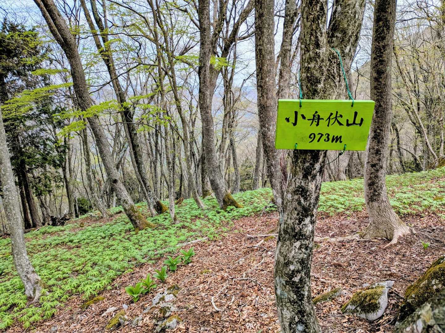 小舟伏山🚩到着👏
静かな山頂です♪