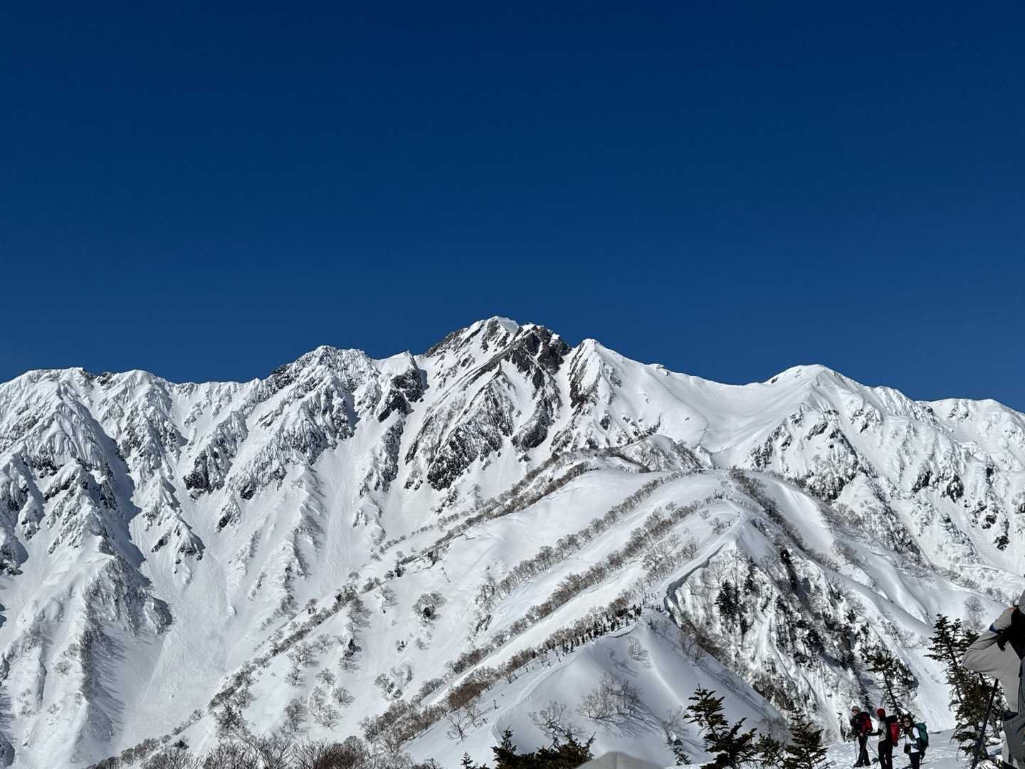 地蔵の頭-二ノ背髪-小遠見山-五竜登山口-中遠見山-大遠見 縦走コースの写真