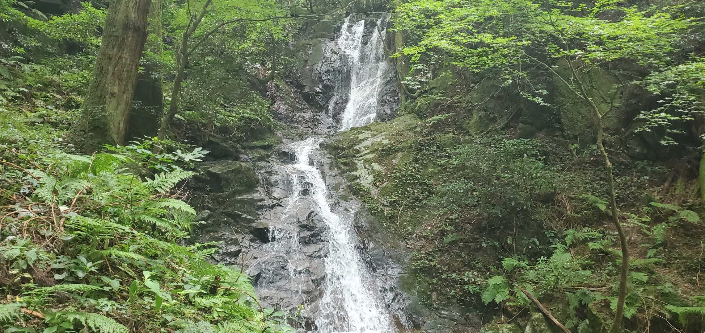雷山観音前バス停-上宮-雷山 往復コースの写真