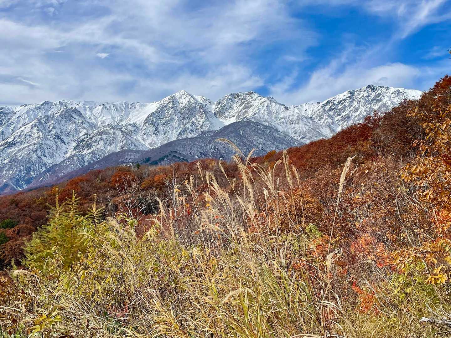 雪を被ると迫力が増しますね🏔️