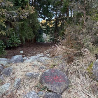 三池岳への登山口に到着