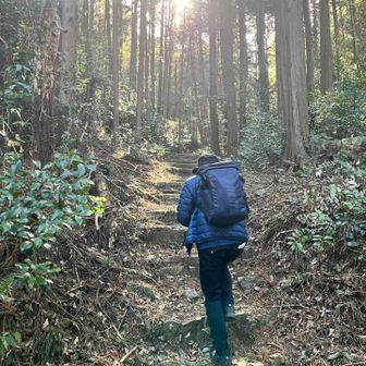 健康貧脚ハイク