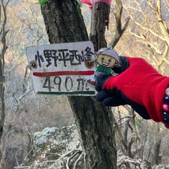 _(┐「ε:)_パタ

小野平西峰💚着いた💦💦💦

ここでお尻の白い‎🤍
カモシカ🦌さん3頭に遭遇しました
(*^^*)
写真間に合わず💧‬

カモシカさんすんげぇ急登の中腹を
3頭が全くおなじ動きで走ってくの
すごいねぇ👏💕︎💕︎👏👏💕︎