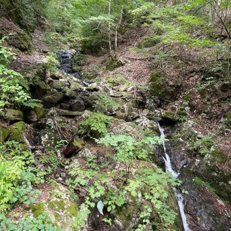 滝がある沢沿いは涼しい！