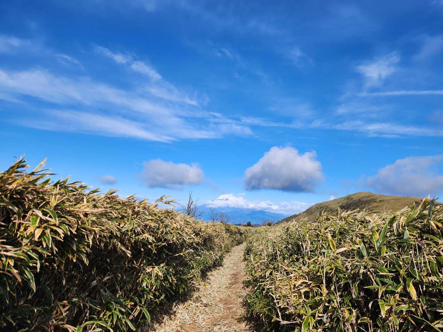 稜線歩き。先に富士山が見える🎵
