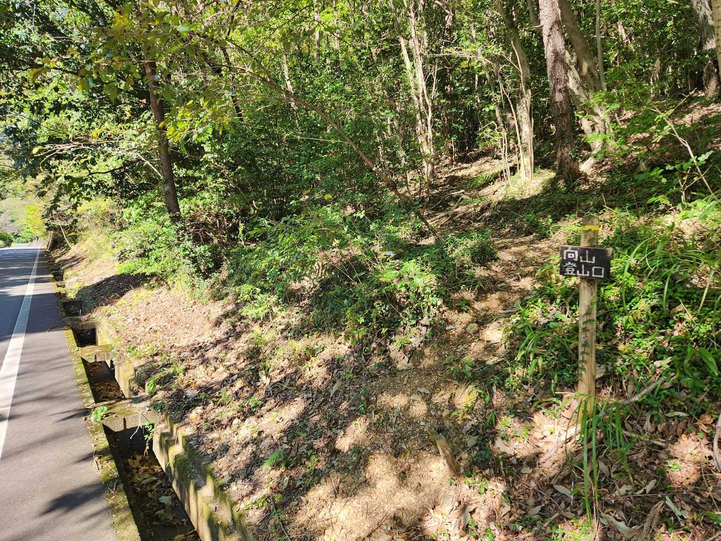道路🛣️渡って向山登山口
ここからスタート🚩
