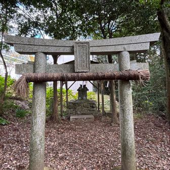 また神社を通ります⛩️