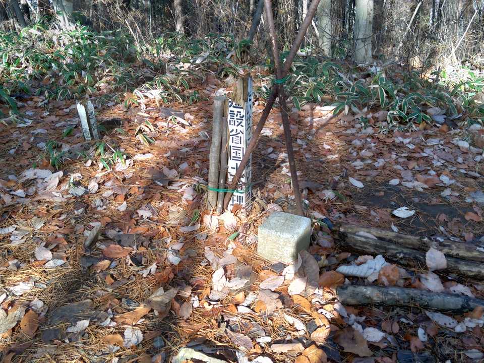 大森山山頂
二等三角点です🎵
今日は此れで終点〜
下山して
何と牛カルビ焼肉定食を食べちゃいましたよ
カモシカと牛は違いますよね🐐🐄