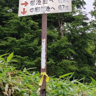 中郷御池への分岐点