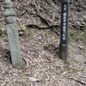 旧参道らしいです。