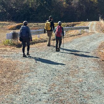 池の周りを歩きます！