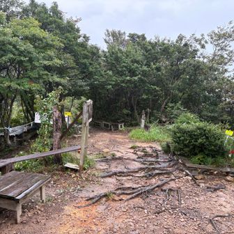 本格的に降り出しました☔️
止みそうにないので下山しまーす🚶
100均で買ったポンチョを着て雨対策。
雨なのでここからは写真無し😅