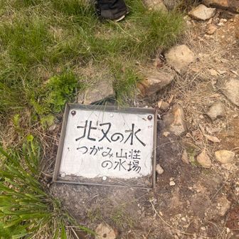 北又の水、ありがたやー✨