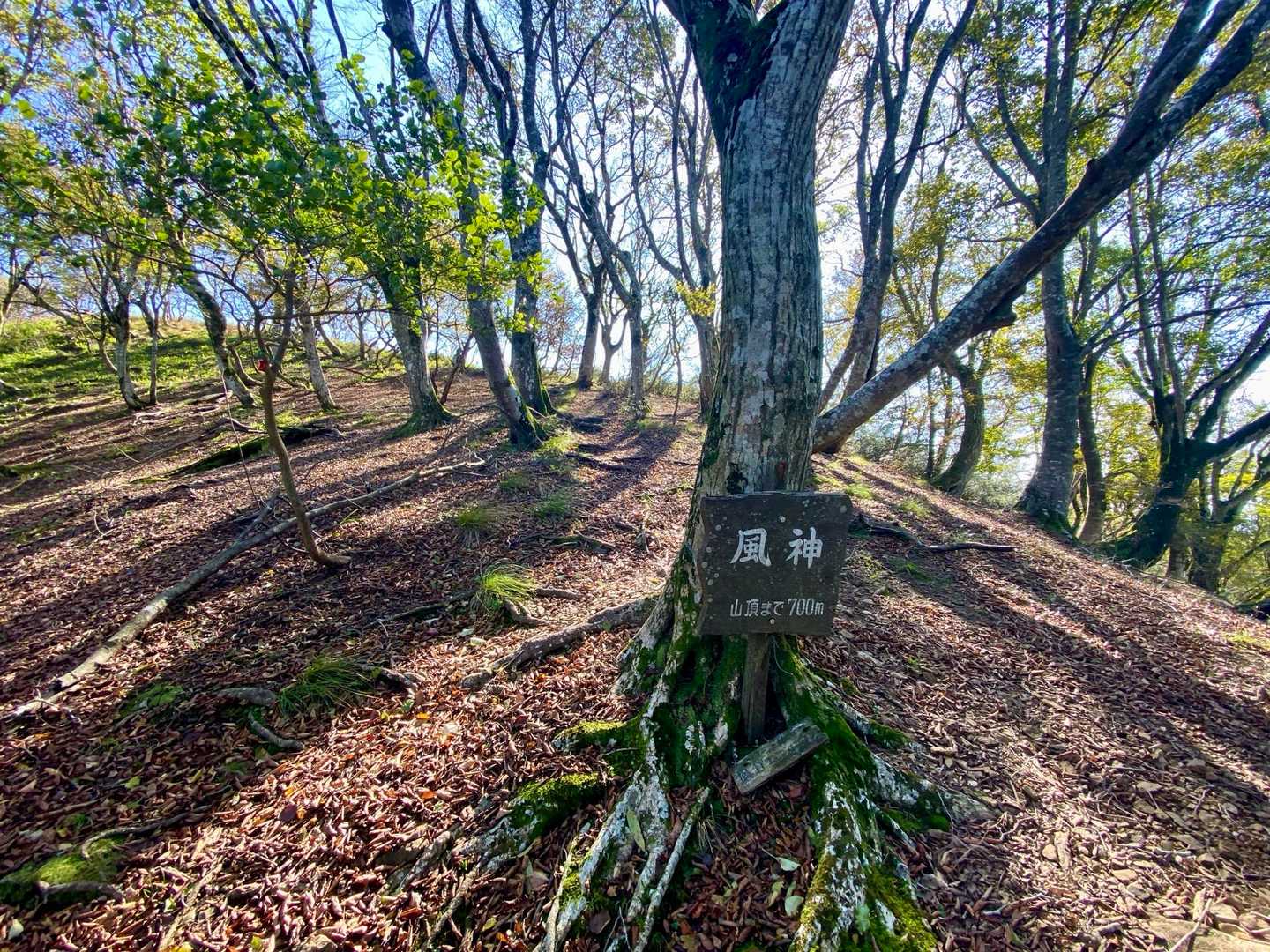 風神着。どうしてこの名がついたのかな。風が強く吹くから？