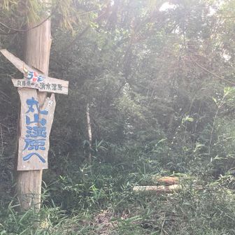 なかなか凝った標札