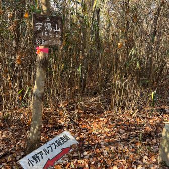 四座目　安場山