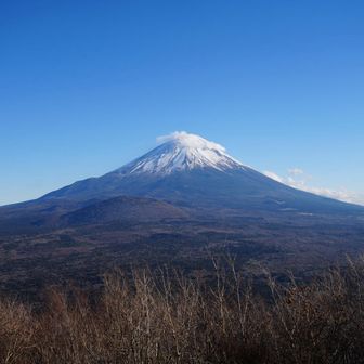 (*´ω`*)ﾆﾔﾆﾔ🗻