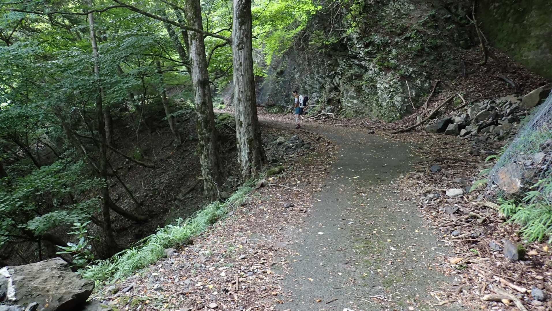 わかっちゃいるけど、入渓まで長い😐️