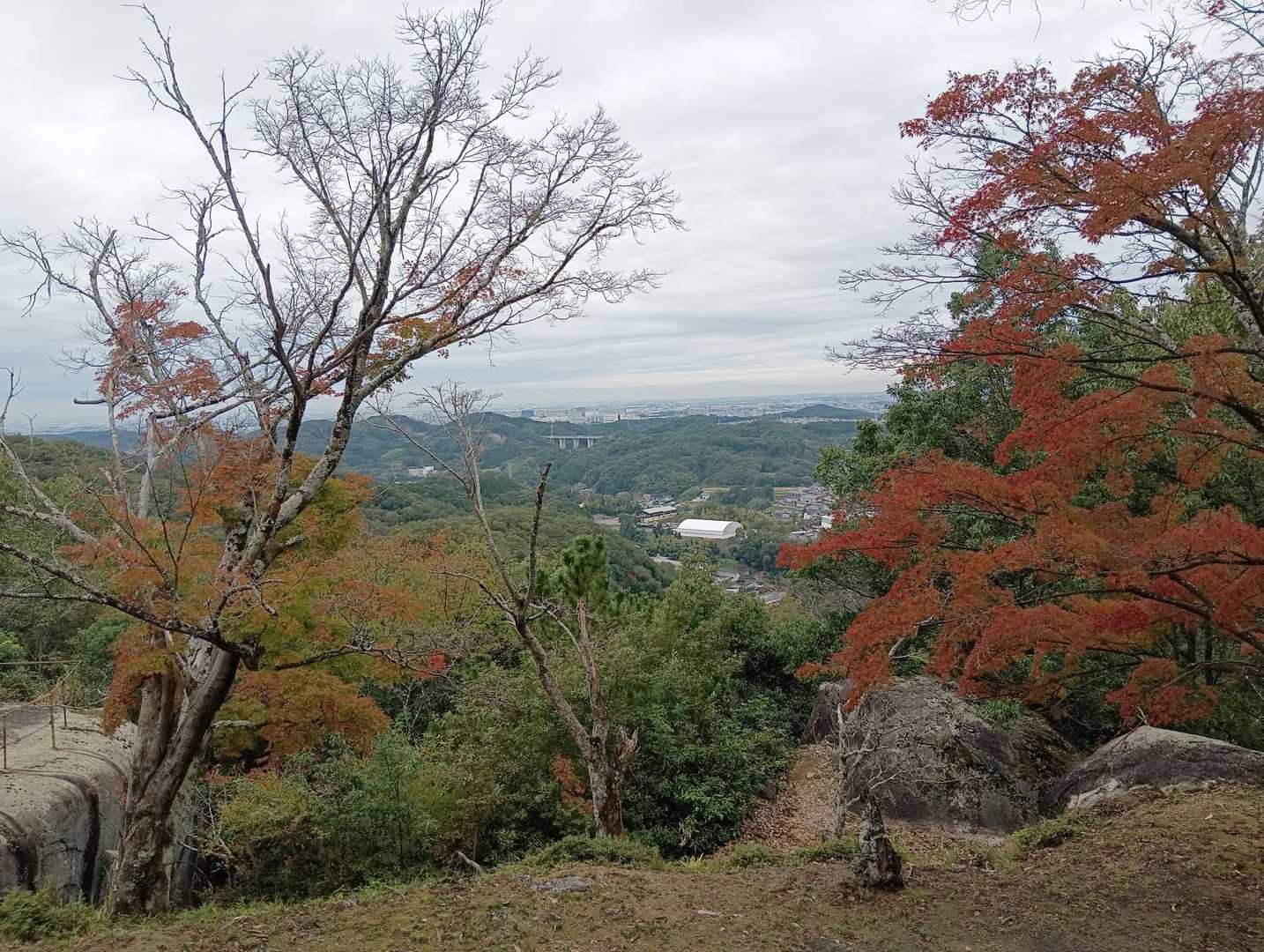 紅葉🍁と眺望😃
