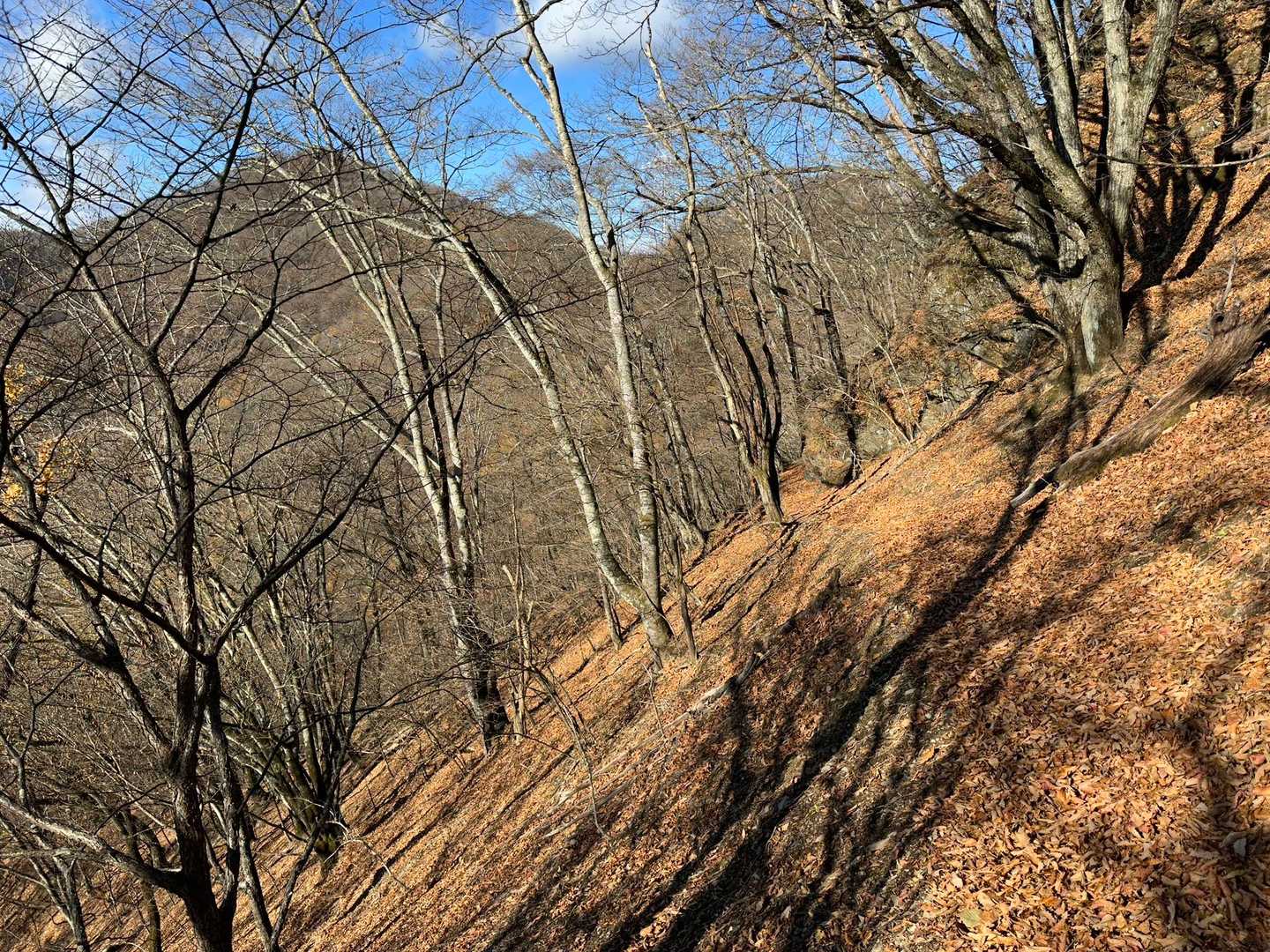 あれが赤久縄山かな？