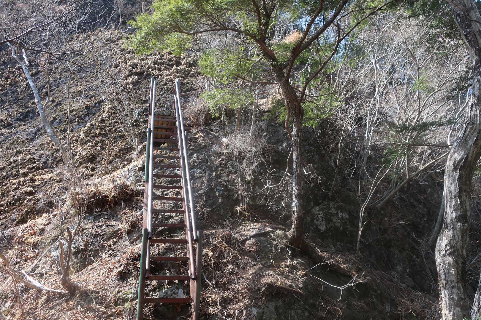 岩古谷山への登りもスリルあるけど、整備されてて安心安全♪