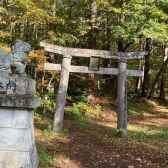 鳥居を潜ると南登山道です。