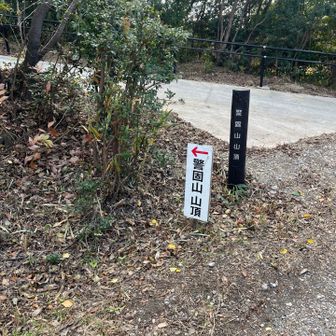 ここだねーー👈