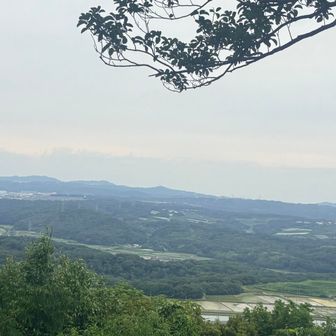 今日は六甲縦走路が綺麗に見えないな〜💦
残念😢

綺麗な紫陽花が見れて良かった〜✨