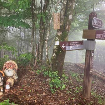たぬきさん達と山頂の分岐標識