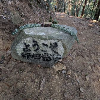 お正月のお出迎えでしょうか🎍