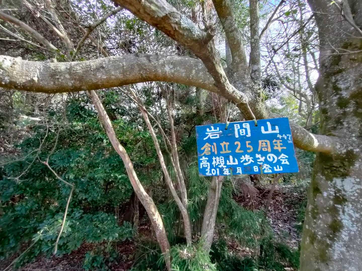 山頂からは展望無し