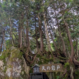 岩の中にこもりたい😢ｲｼﾞｹﾙﾖ
暗い話になってしまった…w