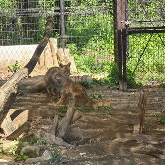 まさとしまさとし