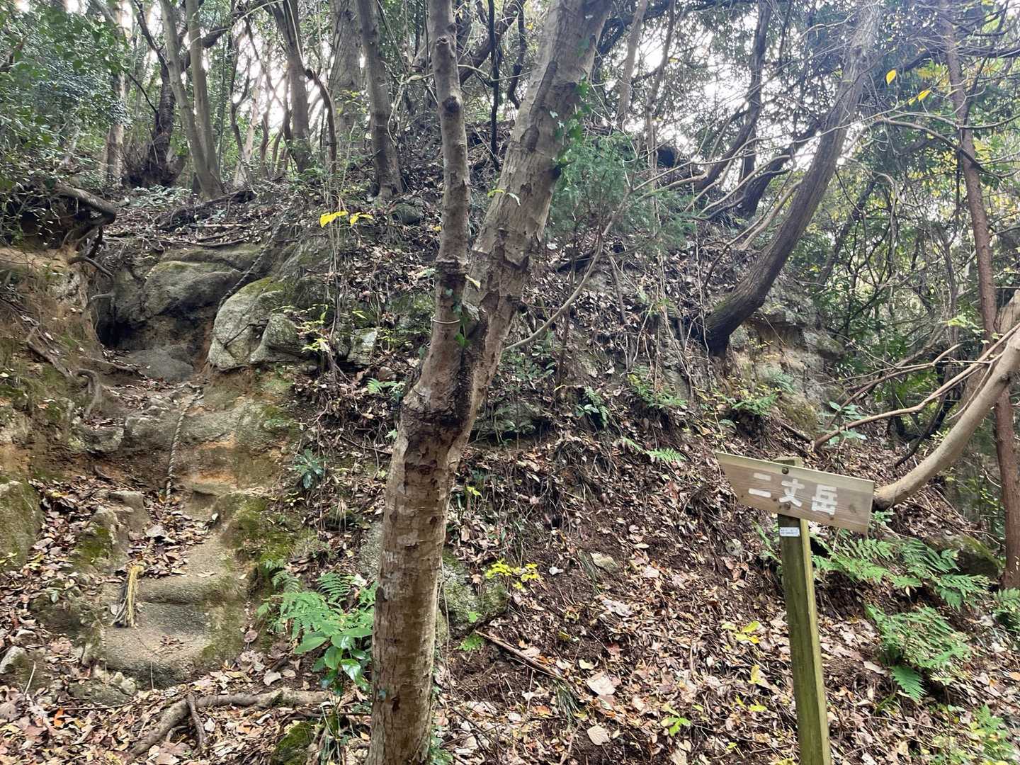 加茂ゆらりんこ橋登山口-加茂神社-真名子登山口-二丈岳-筑 縦走コースの写真