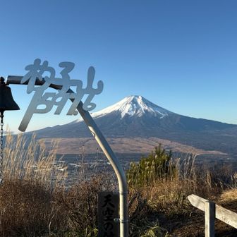 杓子山〜高座山〜権現山 熊出没注意⚠️ / ジャイアンツの登山データ