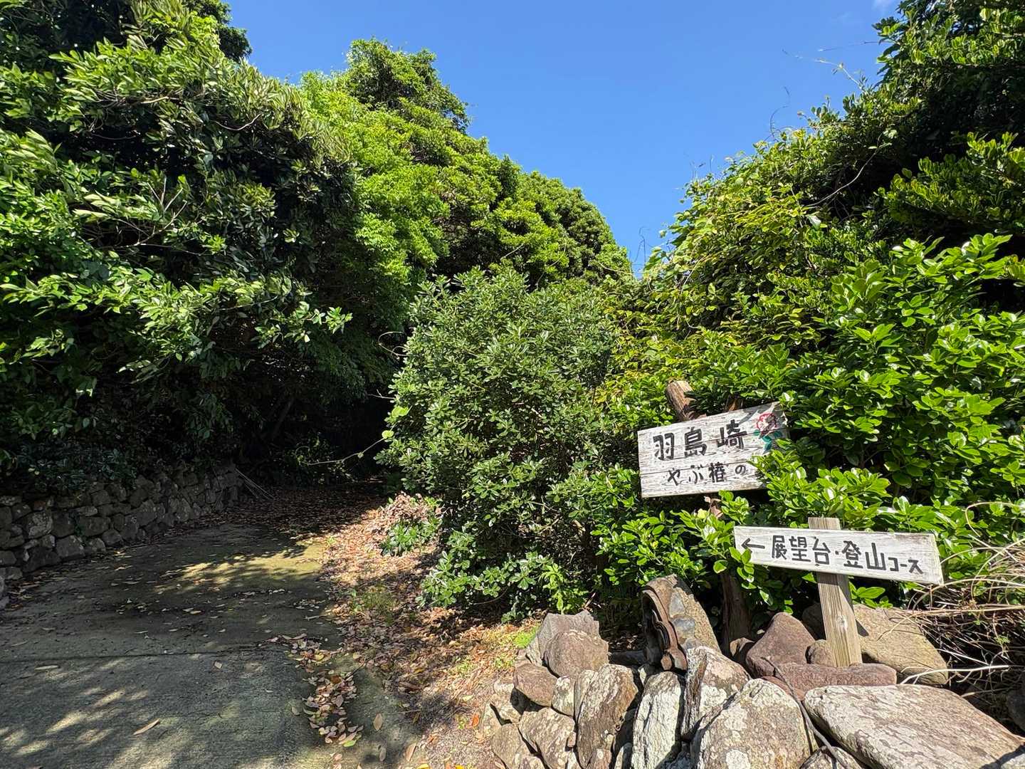 登山口