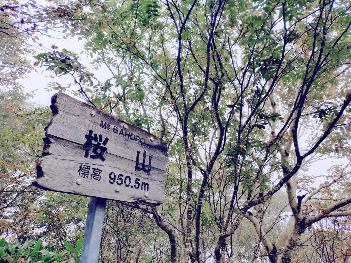 登って下ってを繰り返したら着きました。