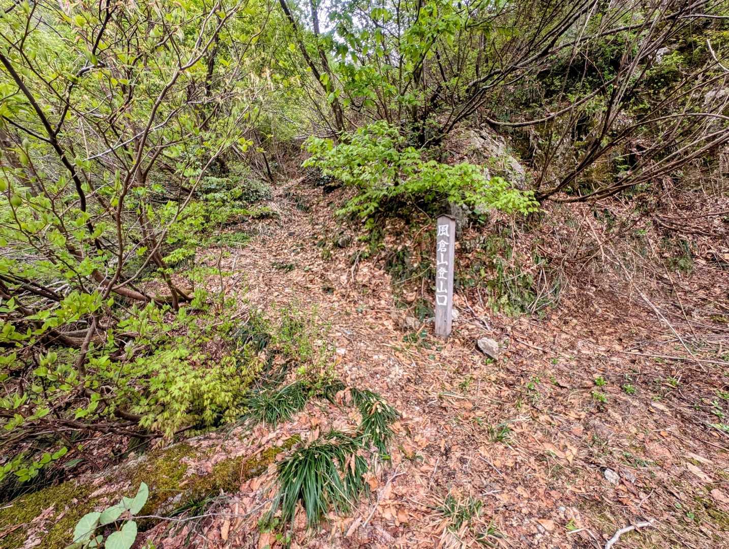 ダムから10分位で風倉登山口
登り20〜30分登り続けます😅