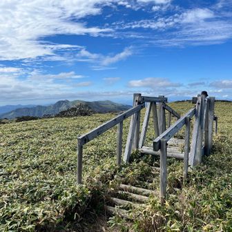 アルルの跳ね橋チック？知らんけど