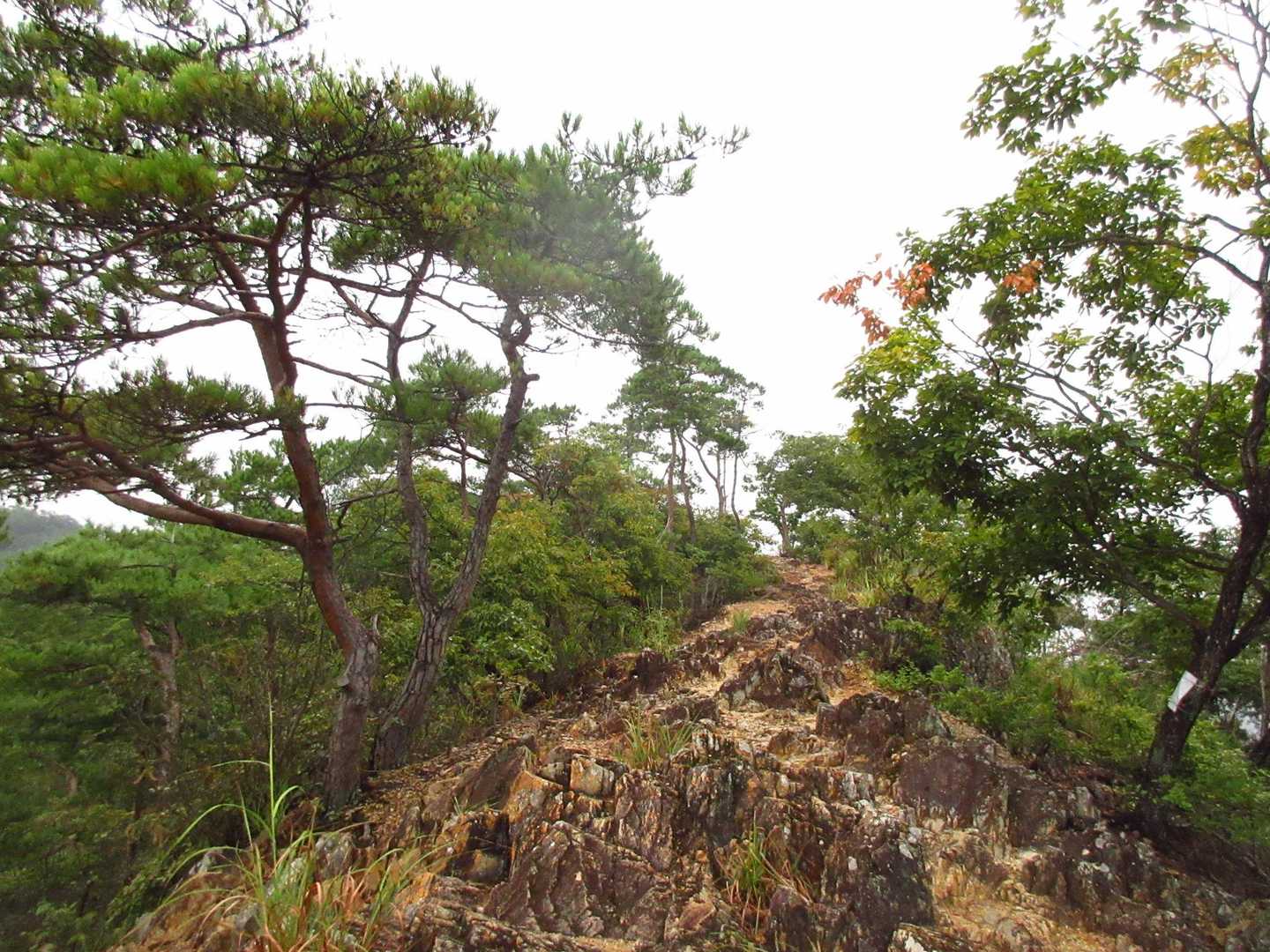 登山道[明石山山頂～両崖山展望台]
