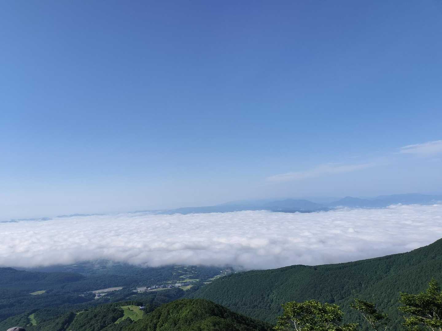 雲海良きですね