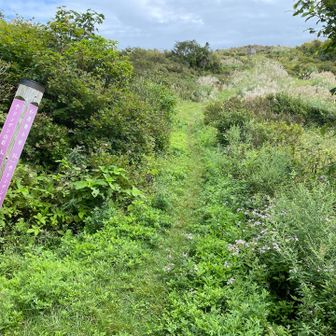 ドンデン避難小屋を見に行ってみよ👀